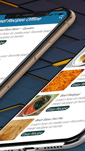 Beef Recipes Offline Screenshot 3