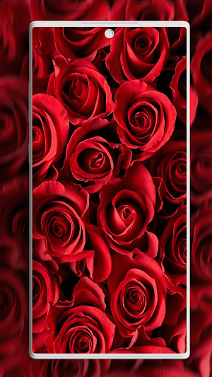 Rose Wallpaper Screenshot 3