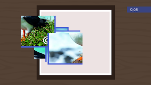 Quebra-cabeça polar Screenshot 2