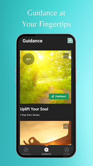 Harmony Within Screenshot 0