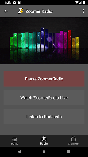 Zoomer Radio Screenshot 1