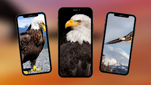 Eagle Wallpaper Screenshot 2