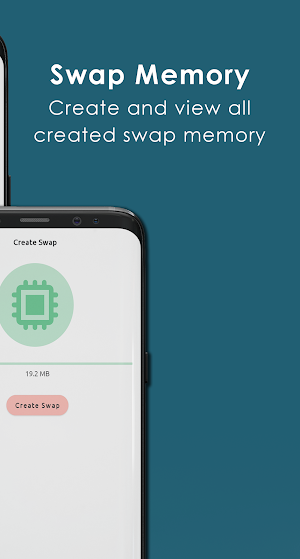 Ram Swap Screenshot 3