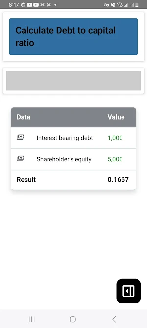 Debt To Capital Ratio Screenshot 3