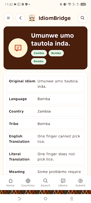 IdiomBridge Screenshot 0