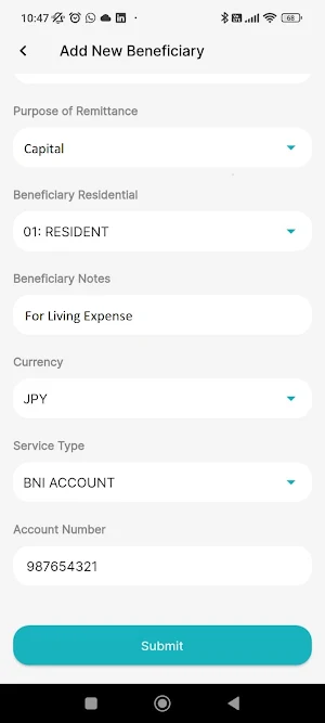 BNI DigiRemit Screenshot 2