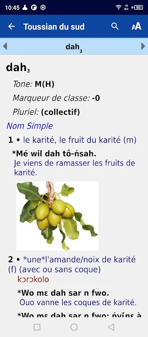 Toussian dictionnaire Screenshot 1