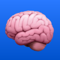 Memory Game - Brain Training