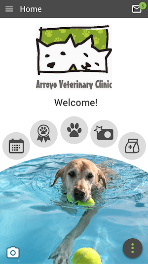 Arroyo Vet Screenshot 0