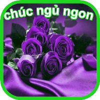 chúc ngủ ngon