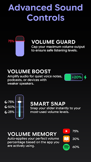 Volume Control Styles SynEdge Screenshot 2