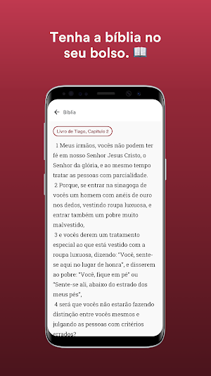 IBN - Sete Quedas Screenshot 2