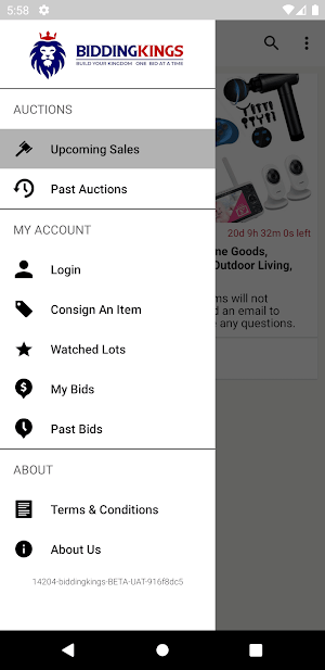 BiddingKings Screenshot 3