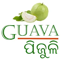 OUAT Guava