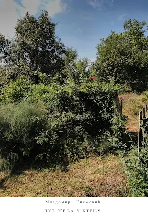 Put želja u htenju Screenshot 1