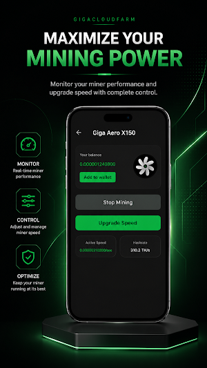GigaCloudFarm miner Screenshot 2