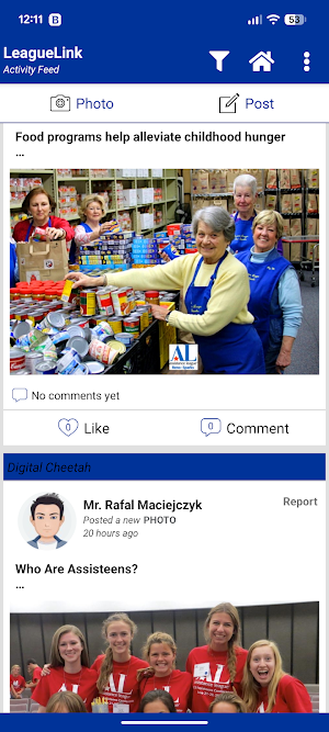 LeagueLink - Assistance League Screenshot 2