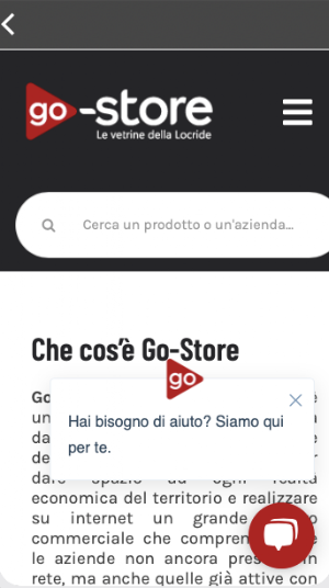 Go-Store Screenshot 1