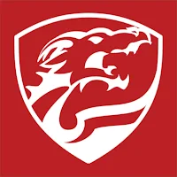 CSA Dragons