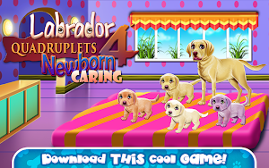 Labrador Quadruplets Caring Screenshot 0