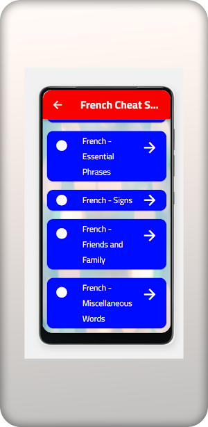 French Cheat Sheet To English Screenshot 3