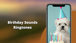 Birthday Sounds Screenshot 0