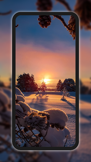 Nature Wallpaper Screenshot 3