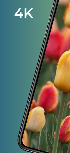 Flowers wallpaper 4k cute Screenshot 0