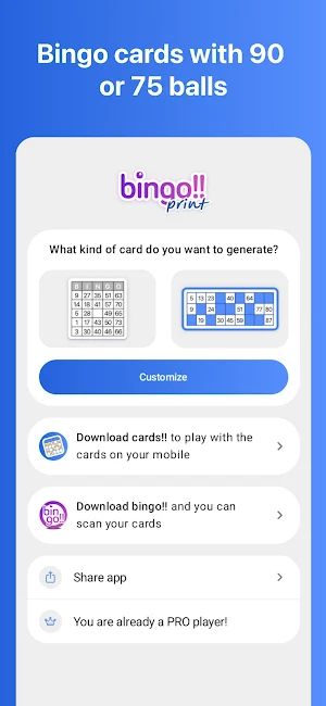 bingo!! print Screenshot 3