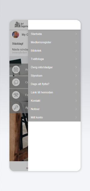 BRF Dagsmejan Screenshot 1