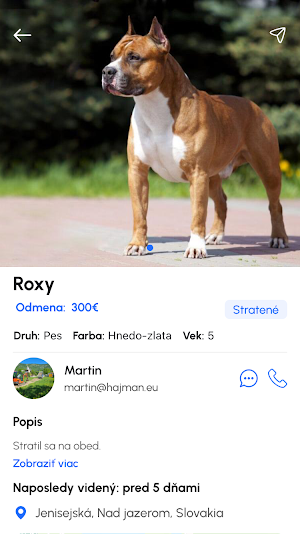 Lost Pets Online Screenshot 0