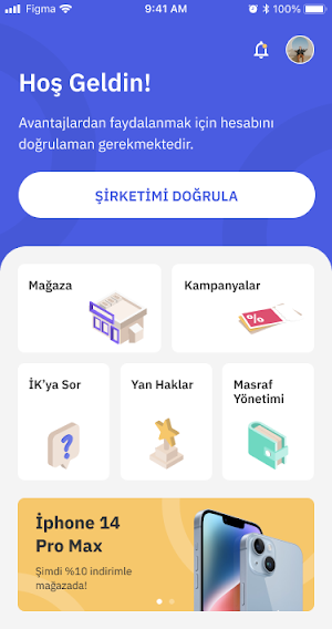 Payeni Screenshot 1