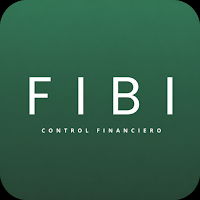 FIBI | Control Financiero