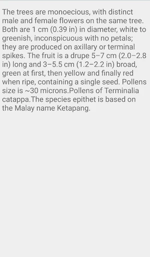 Madagascar Almond Tree Screenshot 3