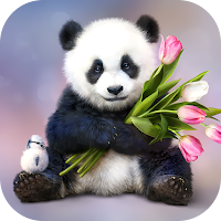 Panda Wallpaper 2023