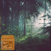 enchanted forest wallpaper