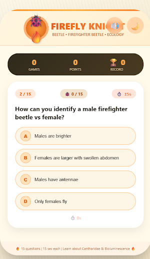 Firefly Knight: Beetle Quiz Screenshot 2