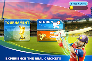 World Cricket 2017 Screenshot 0
