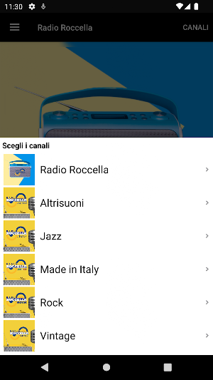 Radio Roccella Screenshot 1