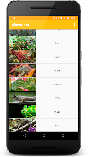 Chameleon Screenshot 0