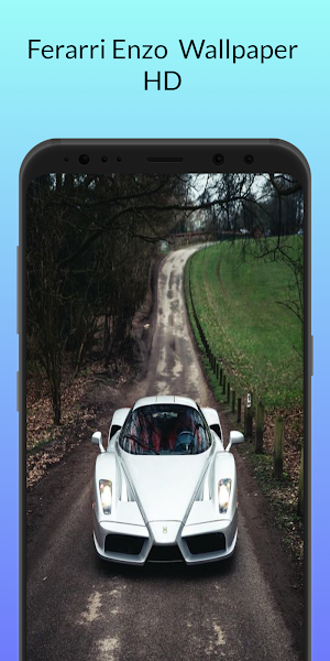 Ferarri Enzo Wallpaper Screenshot 2