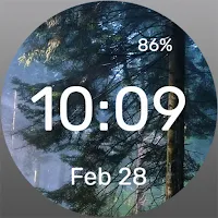 Sunny Pine - Watch Face
