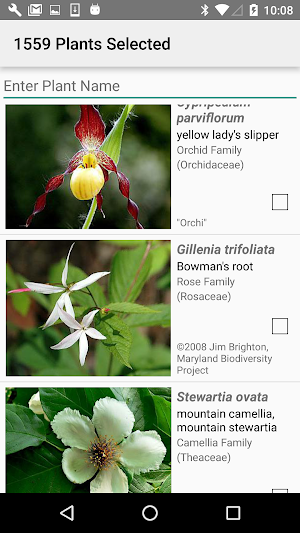 Tennessee Wildflowers Screenshot 2
