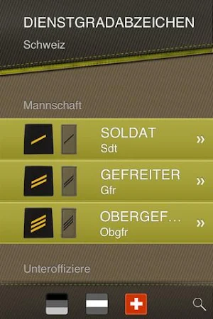 Dienstgradabzeichen Screenshot 1