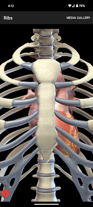 Hx Heart Screenshot 0
