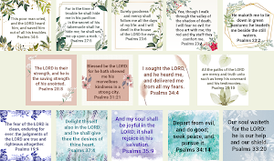 Bible Psalms Screenshot 1