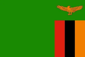Zambia Analog Watch Face Screenshot 2