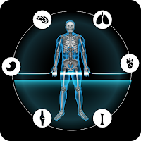 Xray Scanner and Anatomy