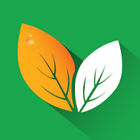 Plantcinales Plantes Medicinales