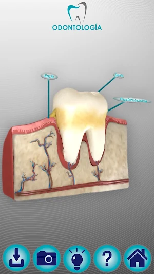 Odontología SR Screenshot 0